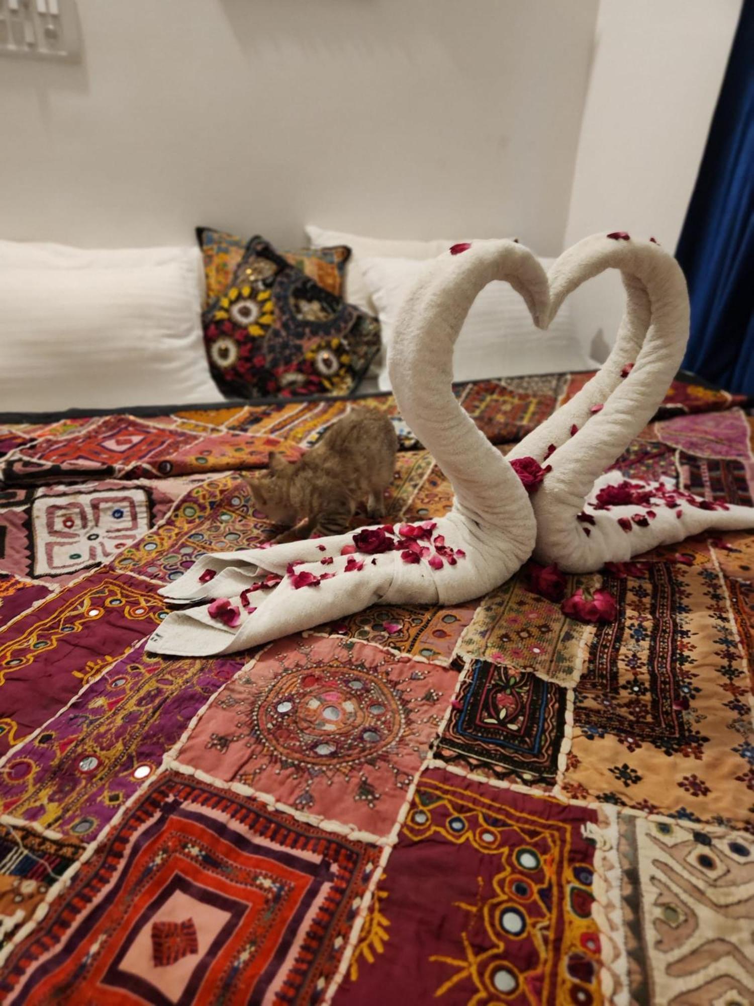 Blue Eye Hostel Jaisalmer Zewnętrze zdjęcie